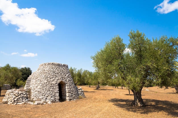 In het Salento-gebied, ten zuiden van Italië, staat een traditioneel landelijk pakhuis genaamd Furniddhu in het lokale dialect. Het is een traditioneel gebouw gemaakt van steen in het landbouwgebied van olijven.