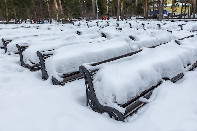 In het stadspark staan banken na een sneeuwval met sneeuw bedekt