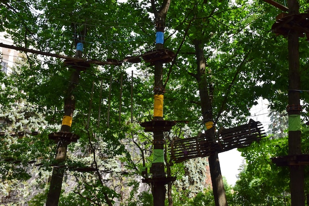 In het zomerbos, een touwpark met hangbruggen, overgangen tussen bomen