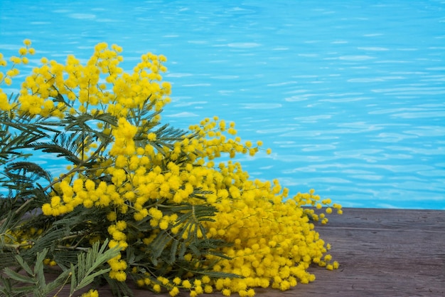 in het zwembad voor de dag van de vrouw achtergrond met mimosa