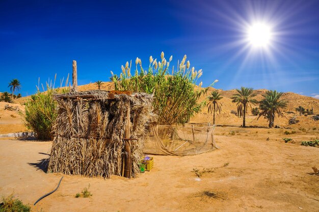 Фото В пустыне сахара в солнечный день тунис северная африка
