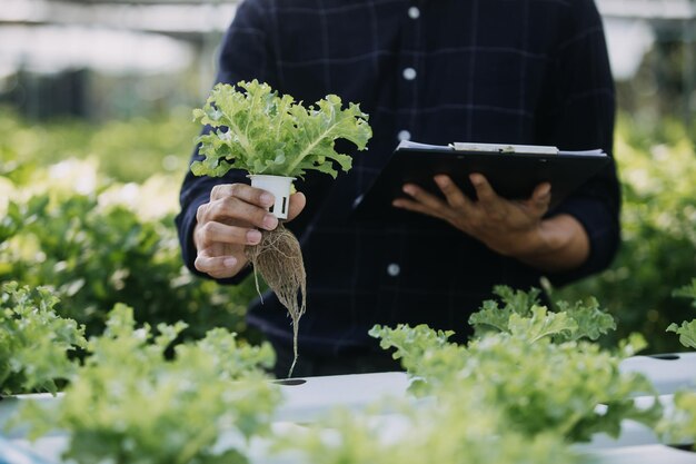 写真 工業用温室で 2 人の農業技術者が植物の健康状態をテストし、タブレット コンピューターでデータを分析する