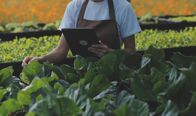 写真 産業用温室で2人の農業エンジニアがタブレットコンピュータで植物の健康をテストし,データを分析しています