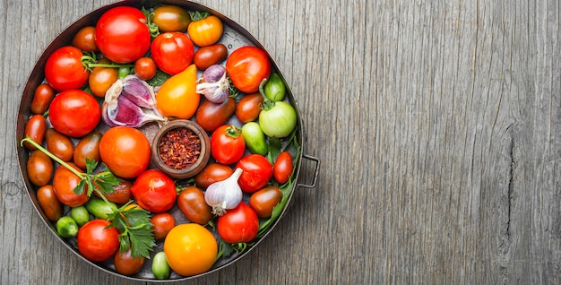 Inblikkende tomaten in de herfst