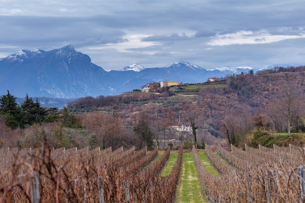 Виноградники Инкаффи в провинции Верона на фоне живописного Монте Пиццоколо, горы в Брешии и Гардезане в предгорьях Альп.