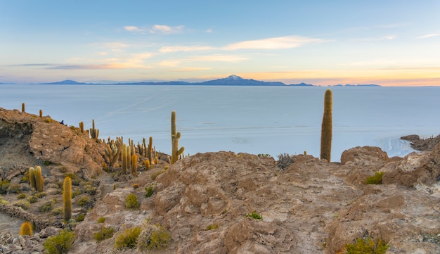 Photo incahuasi island, salar de uyuni, bolivia