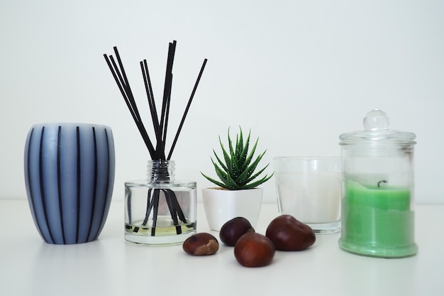 Incense sticks in a glass vessel with essential oil White background Sansevier or aloe plant in a pot Wax candle in a stylish glass flask with a lid Chestnut fruit Gray striped candle or vase