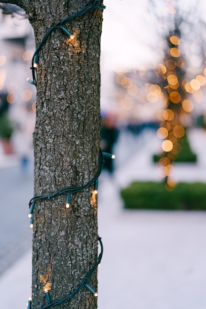 外の木の幹にクリスマスの花輪が含まれています。公園の新年の街灯。お祝いのライト。小さな電球が背景のボケ味でクローズアップ。高品質の写真