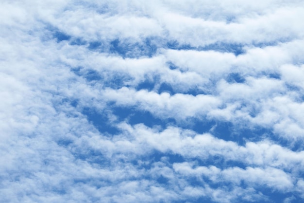 鮮やかな青い空に浮かぶ高積雲