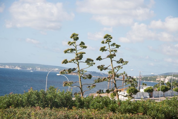 The incredible beauty of Majorca