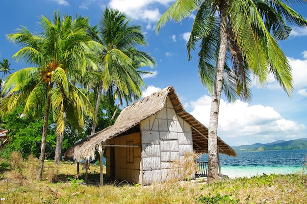 incredible El Nido, wild beauty of Philippines