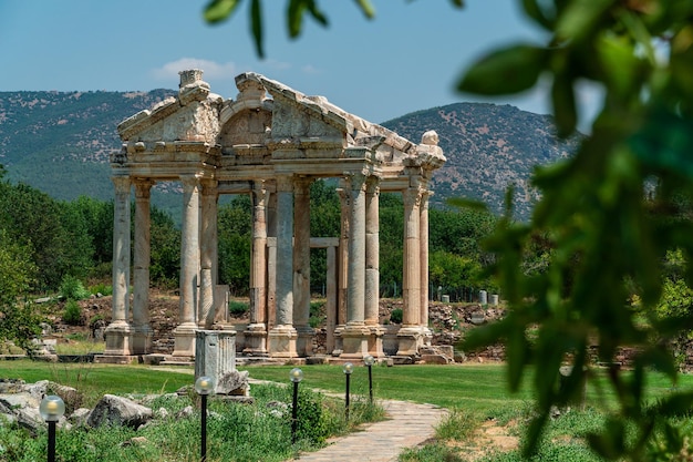 Incredible landscape of the ruins of the temple of aphrodisia with leaves in the foreground out of focus in turkey