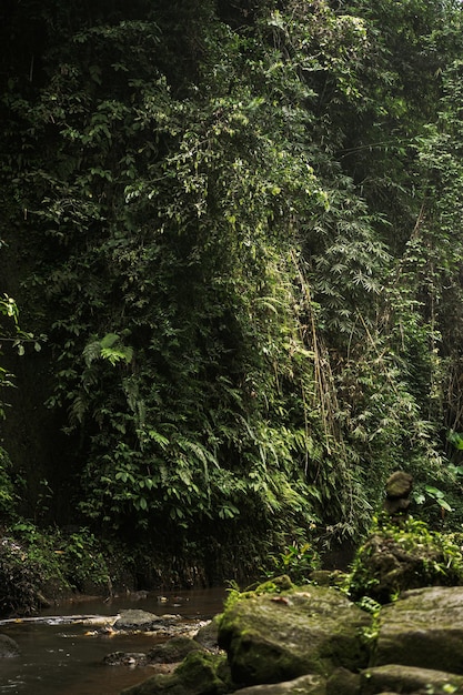 인도네시아 열대 섬의 놀라운 자연
