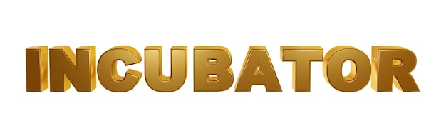 incubator golden text typography logotype modern 3d metallic shiny gold effect