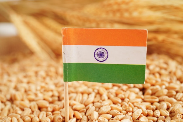 India flag on grain wheat trade export and economy concept