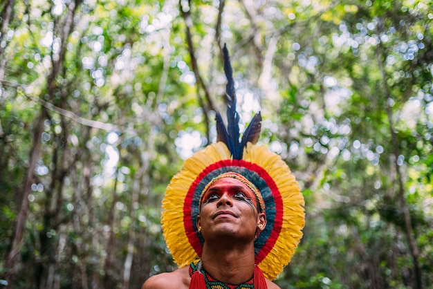 Indiaan van de PataxÃ³ stam, met veren hoofdtooi. Jonge Braziliaanse indiaan die naar links kijkt