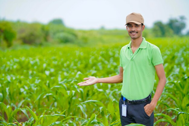 Indian agronomist at green agriculture field.