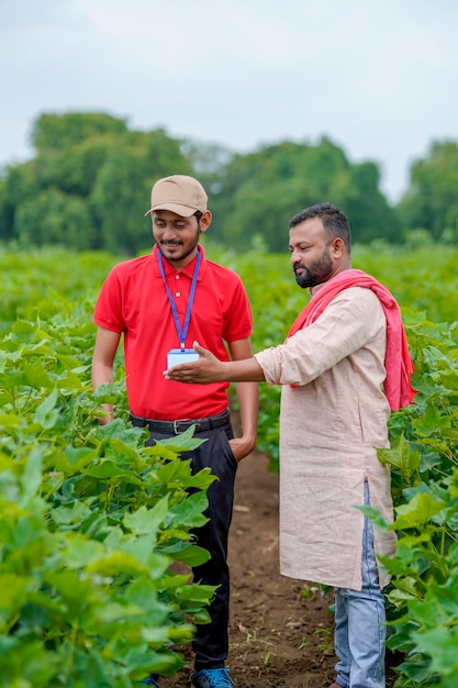 Indian agronomist or officer discussing with farmer at green cotton agriculture field.