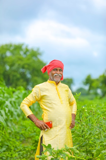 Indian Asian farmer standing in agriculture field