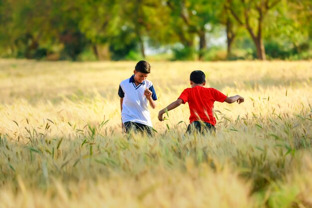 Indian / Asian little boy playing in wheat field