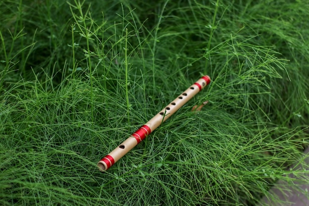 Indian Bamboo Flute on Grass