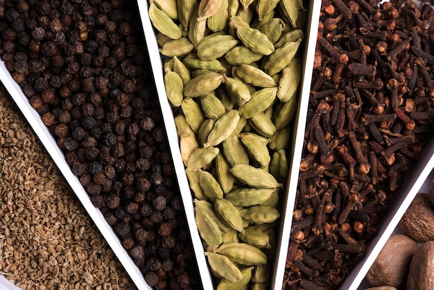 Indian colourful Spices in a white Sunburst or sun rays shape designer container, selective focus.