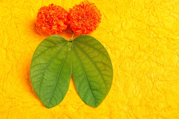 Indian Dussehra leaves with flowers