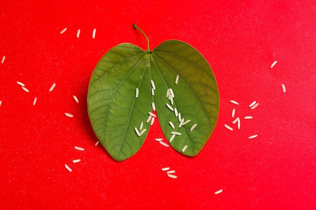 Indian Dussehra leaves with rice
