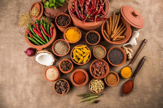Indian essential spices in terracotta pots arranged over textured background, selective focus