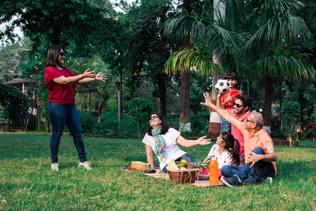 Indian family enjoying picnic - multi generation of asian\
family sitting over lawn or green grass in park with fruit basket,\
mat and drinks. selective focus