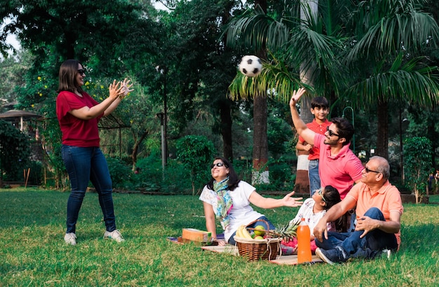 Famiglia indiana che si gode il picnic - multi generazione di famiglie asiatiche sedute sul prato o sull'erba verde nel parco con cesto di frutta, tappetino e bevande. messa a fuoco selettiva