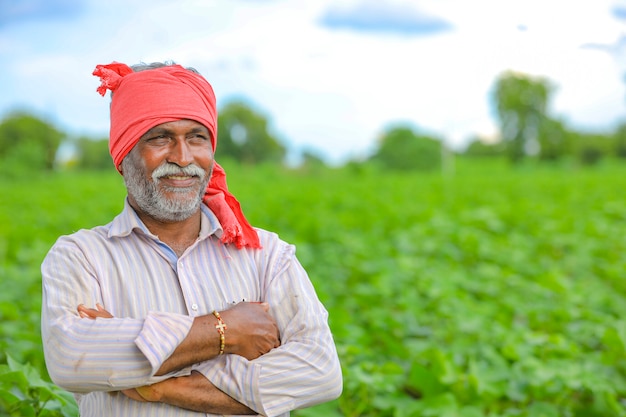 写真 綿畑でインドの農家