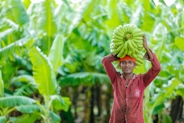 Индийский фермер на банановом поле