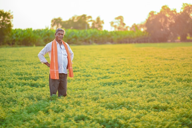 Indian farmer at the chickpea field