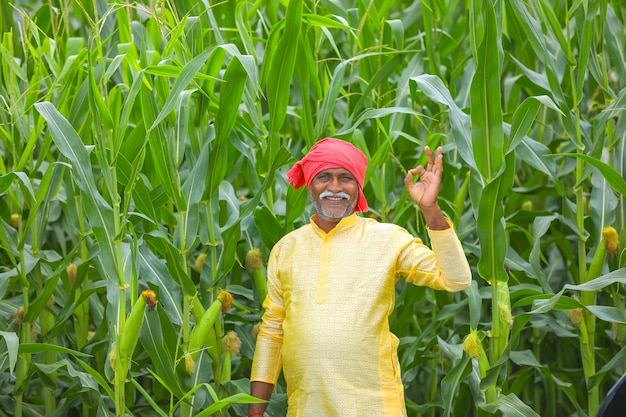 Индийский фермер на кукурузном поле