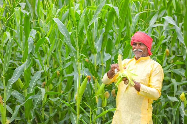 Indian farmer at corn field