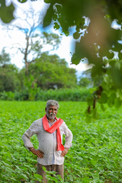 Indian farmer at cotton field