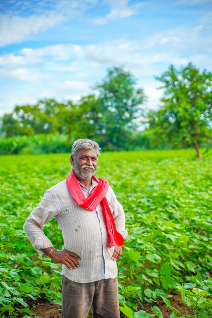 Indian farmer at cotton field