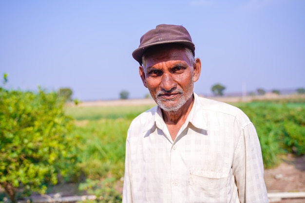 indian farmer in green chili field