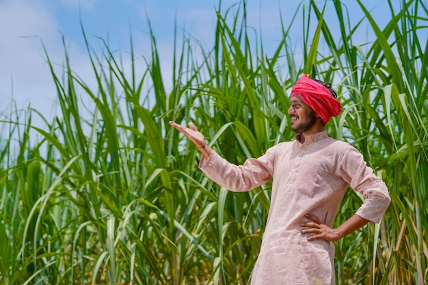 Indian farmer at green sugarcane agriculture field.