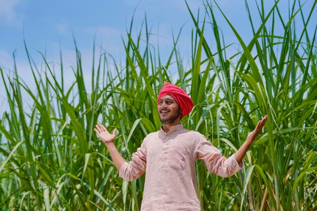 Indian farmer at green sugarcane agriculture field.