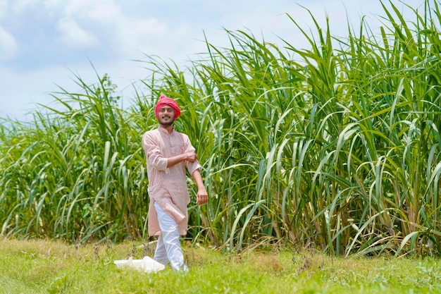 Indian farmer at green sugarcane agriculture field.