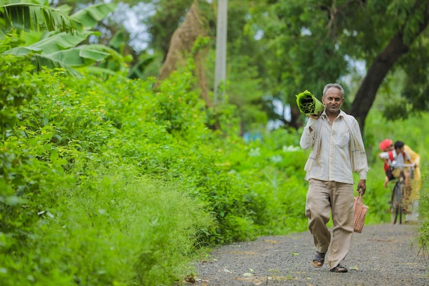 Indian farmer holding banana leaf in hand and walking on the roadside