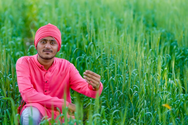 Foto coltivatore indiano che tiene pianta del raccolto in mano al campo di grano