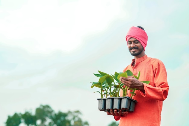 Indian farmer holding and showing banana plant at agriculture field