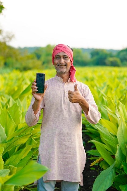 Indian farmer showing smartphone at green turmeric field