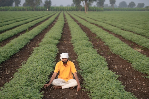 Indian farmer sitting at agriculture field or showing finger