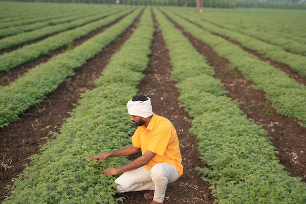 Indian farmer sitting at agriculture field or showing\
finger