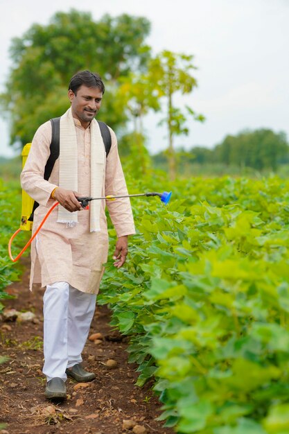 Indian farmer spraying pesticide at cotton field.