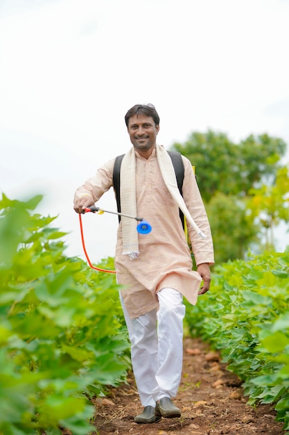 Indian farmer spraying pesticide at cotton field.